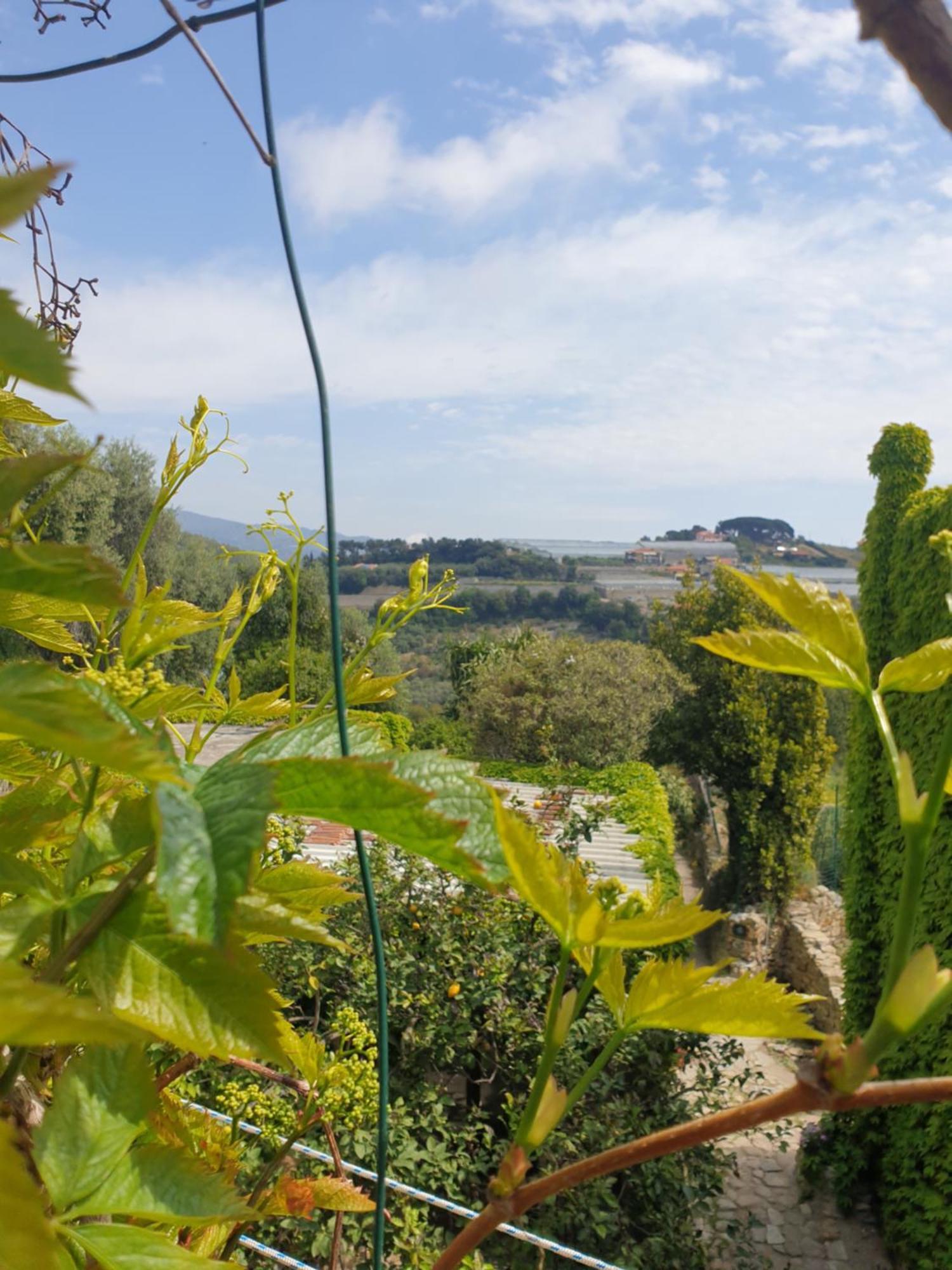 Вилла Casa Di Ingrida Bussana Vecchia Санремо Экстерьер фото