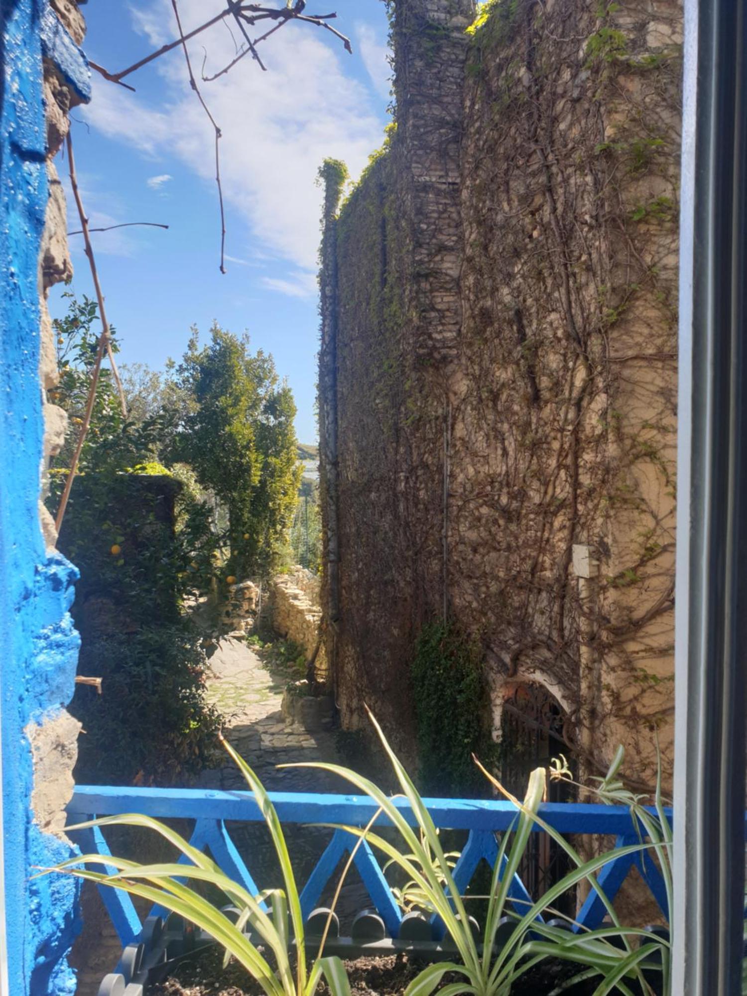 Вилла Casa Di Ingrida Bussana Vecchia Санремо Экстерьер фото